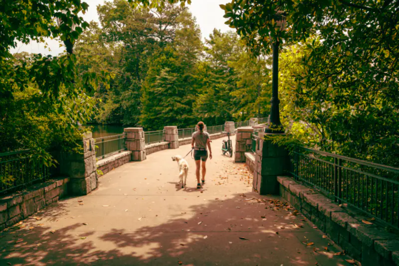 A woman and her dog crossing a bridge in a wooded park.