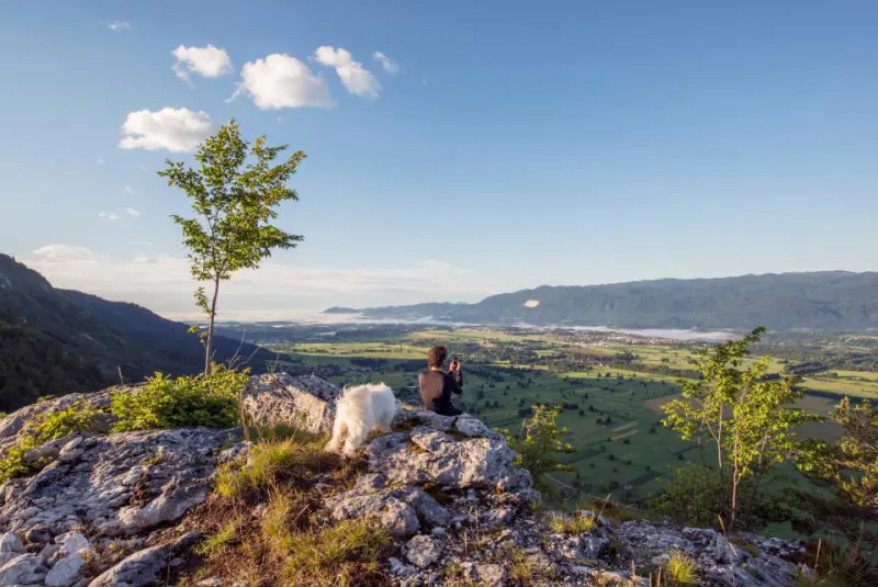 A wide view down over a farmed valley and its villages; in the foreground, a dog and its owner sitting at the edge of a rocky ledge, seen from behind.